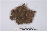 藏品(霜地卷)的圖片